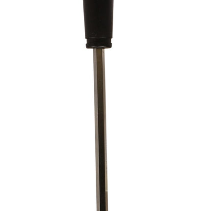 Stiftsleutel Ironside