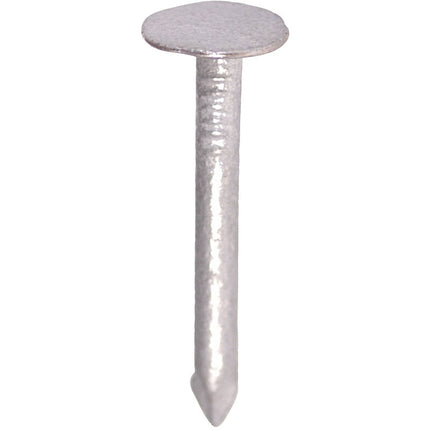 Jako Asfaltnagels Gegalvaniseerd 25mm 1kg 2,5x25mm