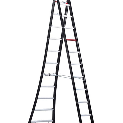 Ladder Nevada reform 2 x 12 V R