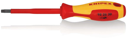 Afbeelding KNIPEX schroevendraaier